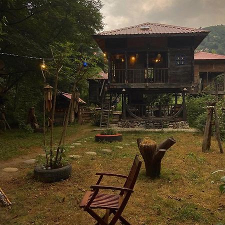 Zeni De Vore Serender & House Aparthotel Ριζούντα Εξωτερικό φωτογραφία