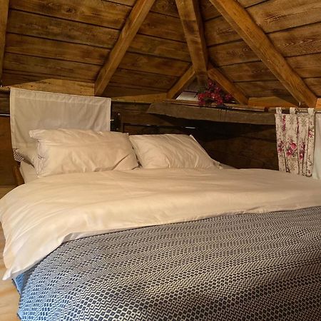 Zeni De Vore Serender & House Aparthotel Ριζούντα Εξωτερικό φωτογραφία