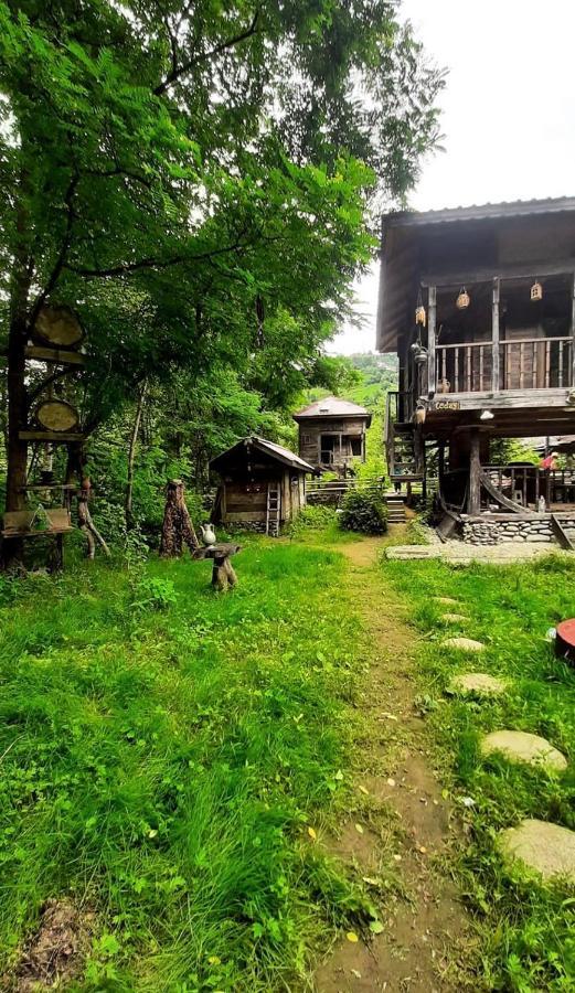 Zeni De Vore Serender & House Aparthotel Ριζούντα Εξωτερικό φωτογραφία
