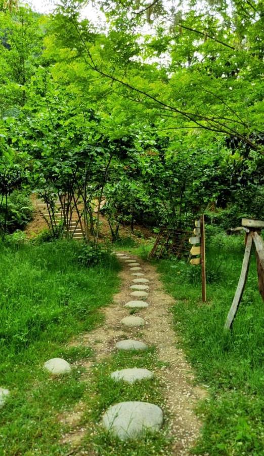 Zeni De Vore Serender & House Aparthotel Ριζούντα Εξωτερικό φωτογραφία