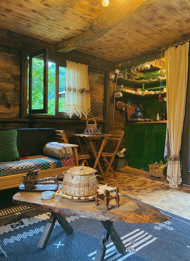 Zeni De Vore Serender & House Aparthotel Ριζούντα Εξωτερικό φωτογραφία