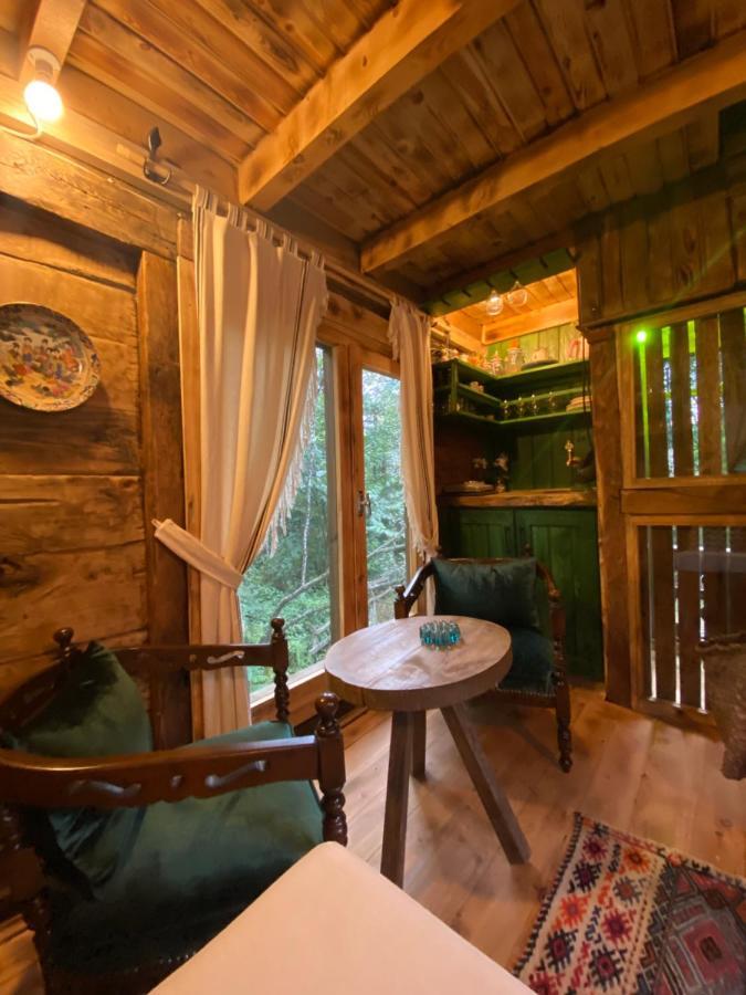 Zeni De Vore Serender & House Aparthotel Ριζούντα Εξωτερικό φωτογραφία