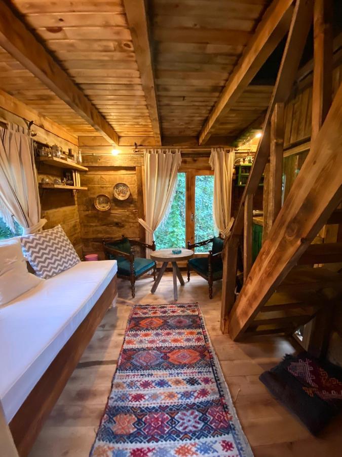 Zeni De Vore Serender & House Aparthotel Ριζούντα Εξωτερικό φωτογραφία