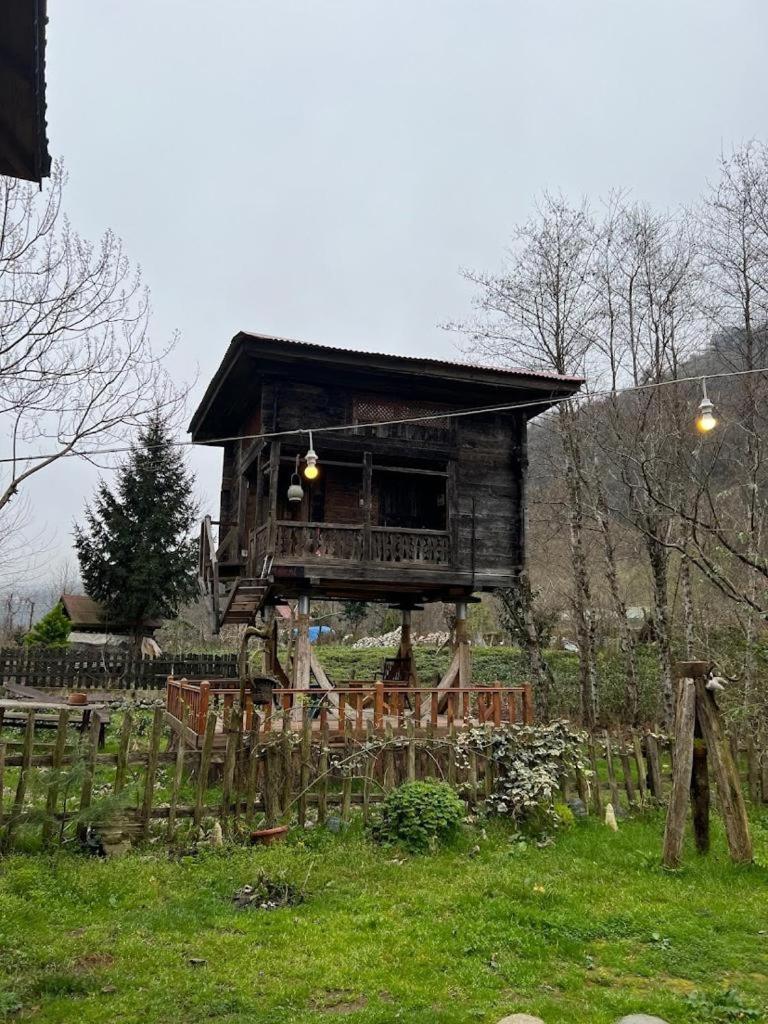 Zeni De Vore Serender & House Aparthotel Ριζούντα Εξωτερικό φωτογραφία