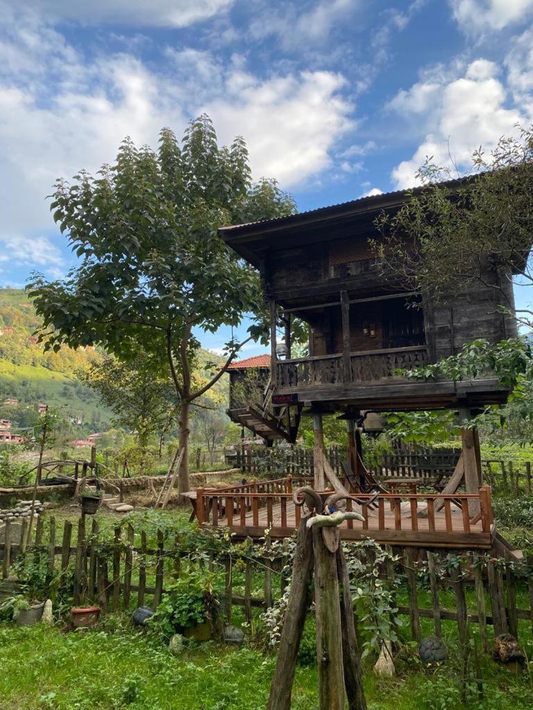 Zeni De Vore Serender & House Aparthotel Ριζούντα Εξωτερικό φωτογραφία