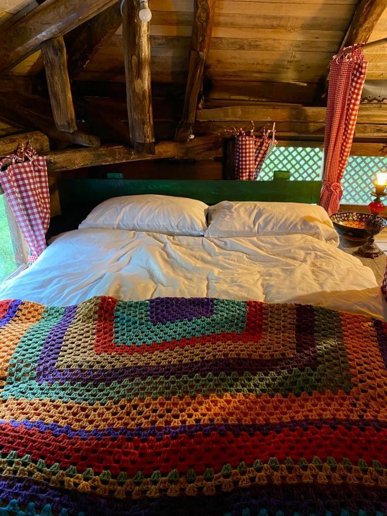 Zeni De Vore Serender & House Aparthotel Ριζούντα Εξωτερικό φωτογραφία