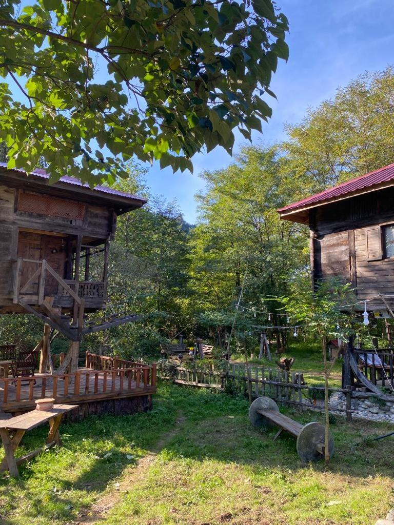 Zeni De Vore Serender & House Aparthotel Ριζούντα Εξωτερικό φωτογραφία