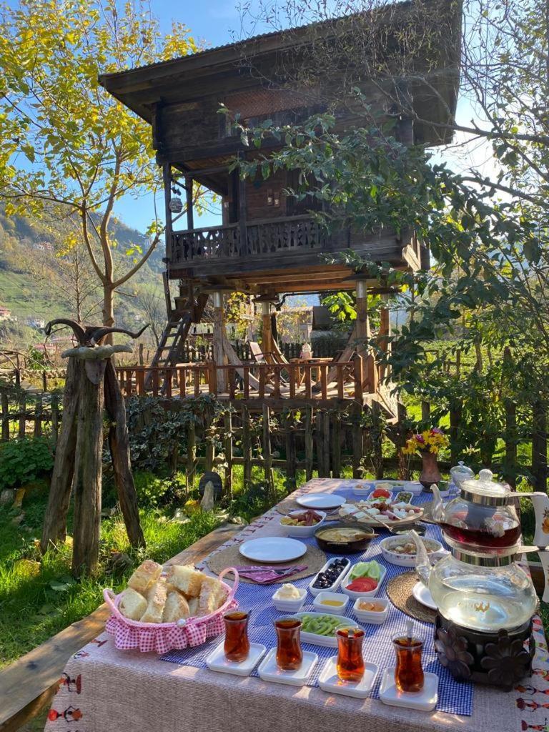 Zeni De Vore Serender & House Aparthotel Ριζούντα Εξωτερικό φωτογραφία