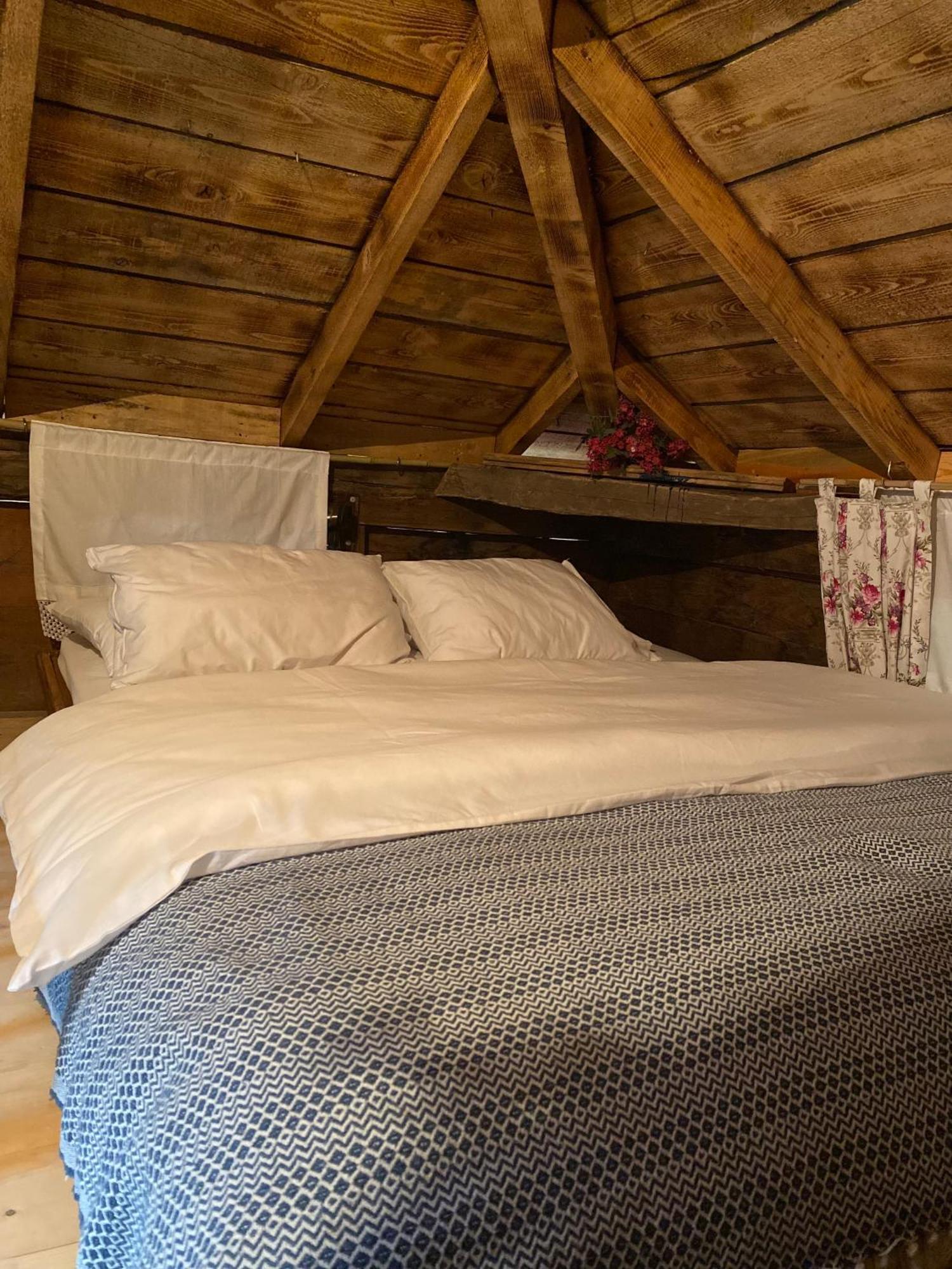 Zeni De Vore Serender & House Aparthotel Ριζούντα Εξωτερικό φωτογραφία