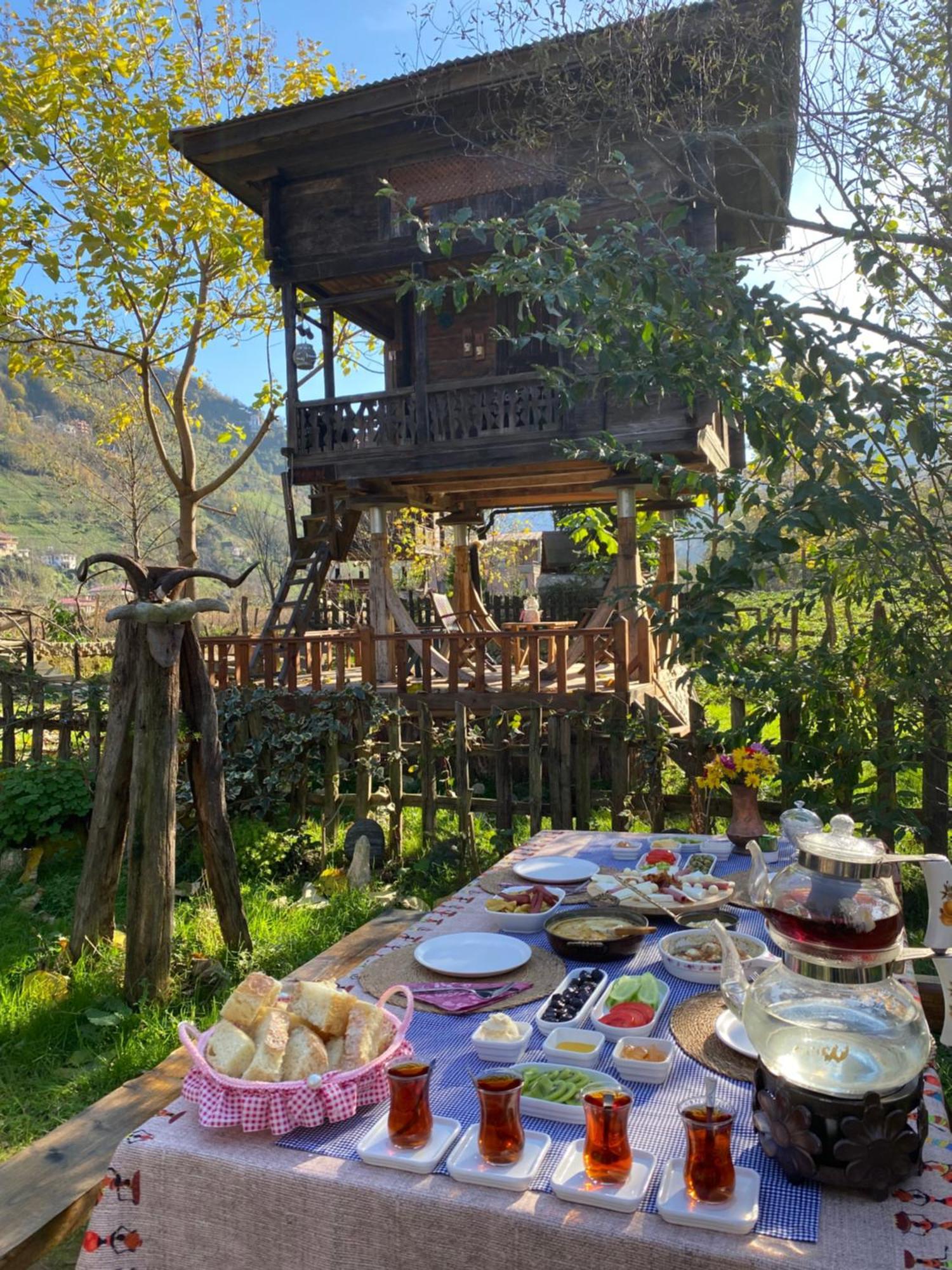 Zeni De Vore Serender & House Aparthotel Ριζούντα Εξωτερικό φωτογραφία